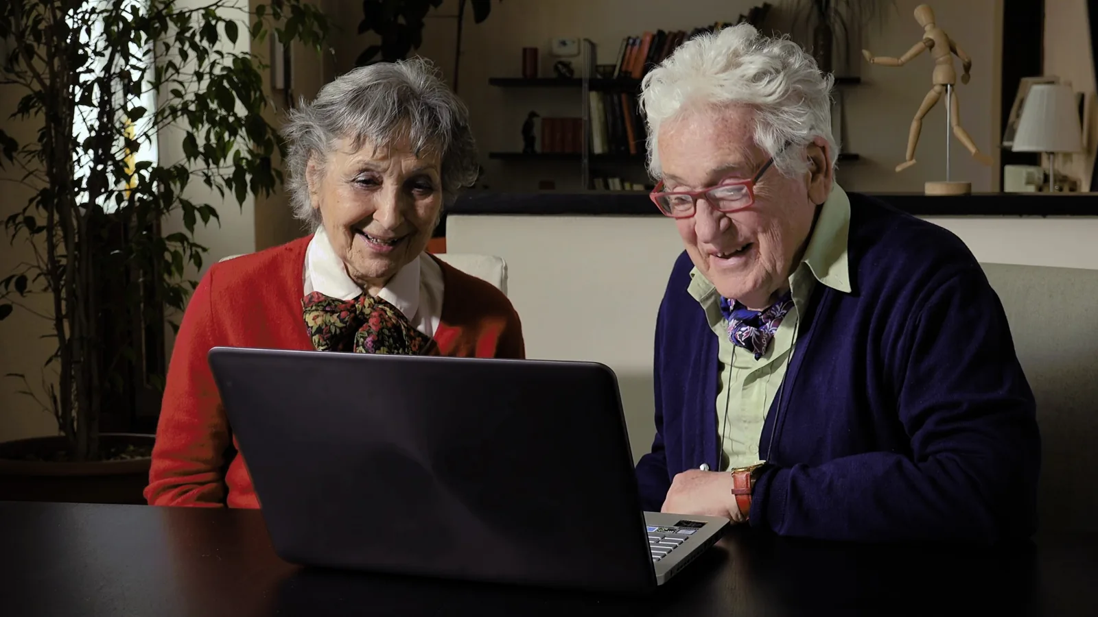 Smiling older couple using a laptop together at home